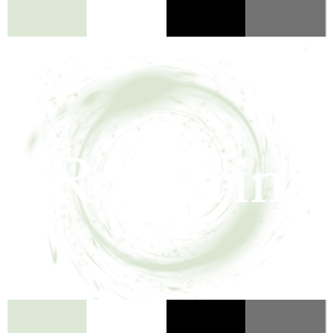 RohErin logo stock white